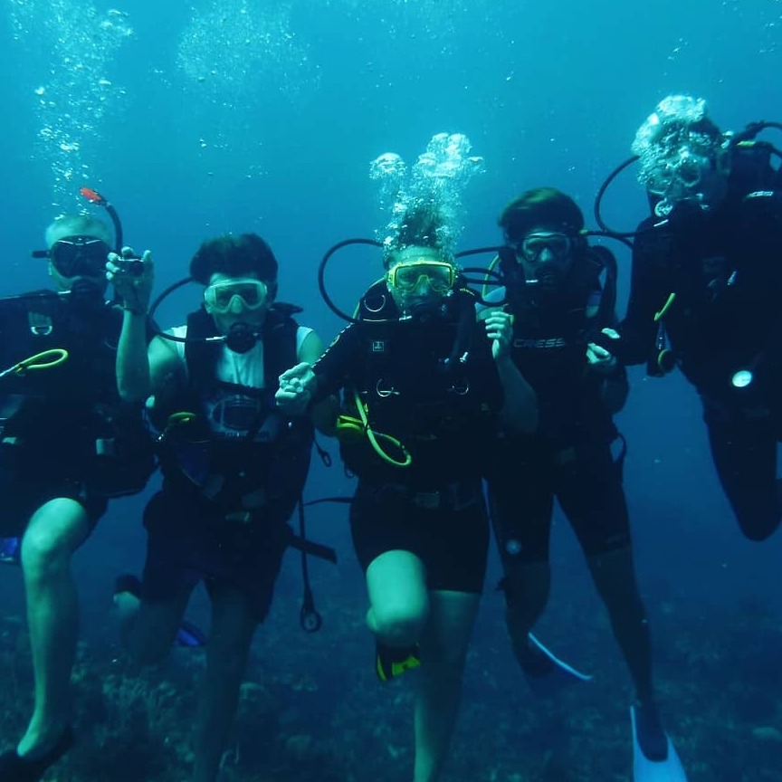 Обучение и сертификация 